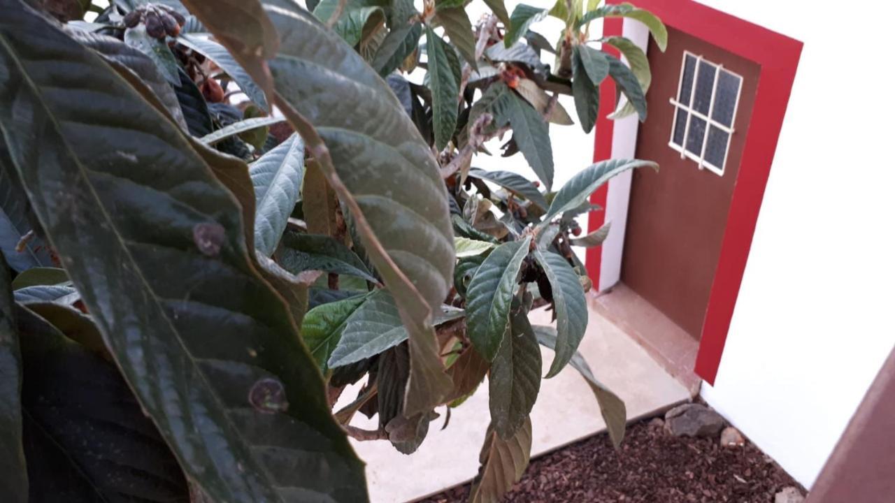 Guest House Almeixar 알만실 외부 사진